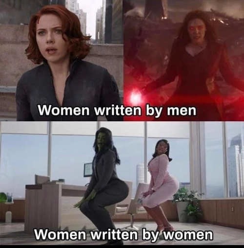 women written by *feminists - meme