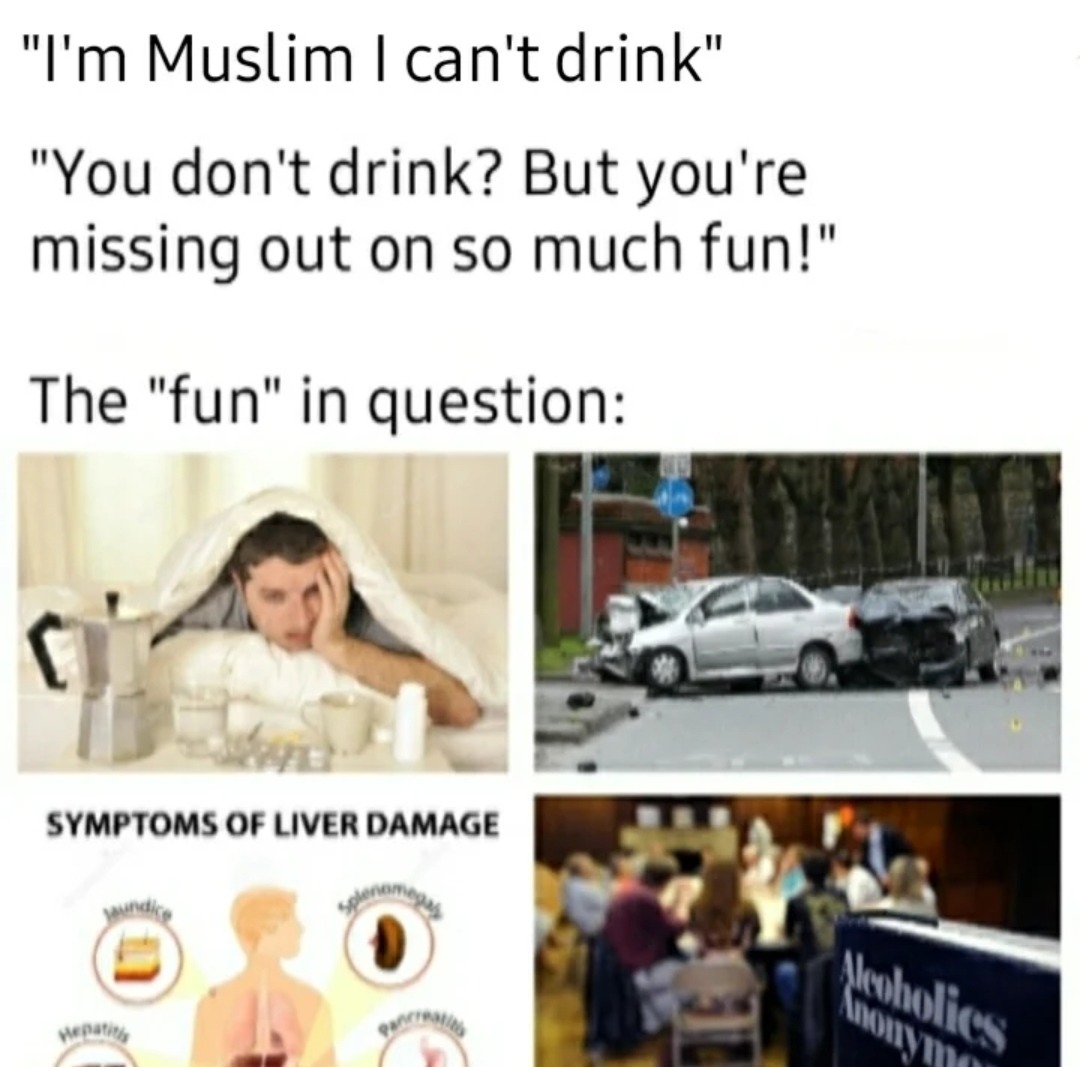 Drinking isn't truly all that fun - meme