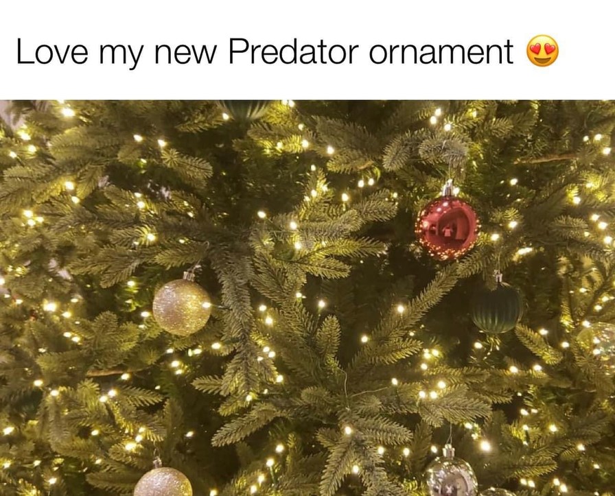 Gotta leave it in the tree bc I can’t find it - meme