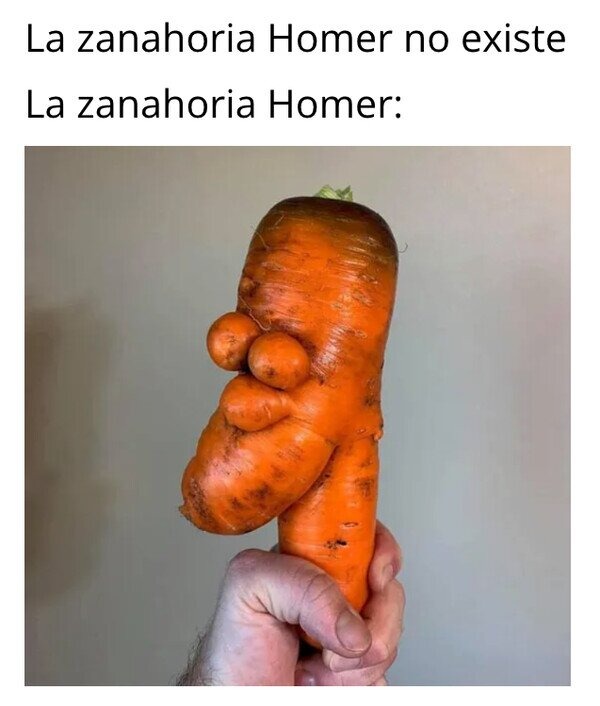 Zanahoria Homer - meme