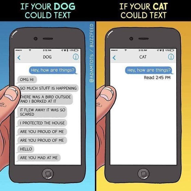 What if you could text your pet? - meme