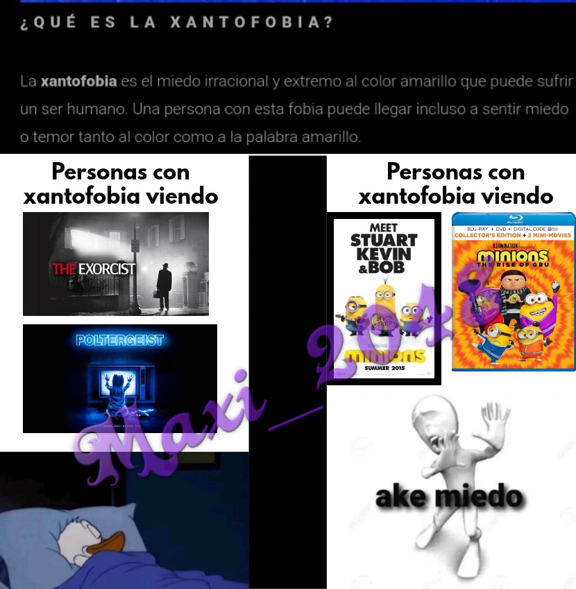 Xantofobia - meme