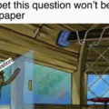 Shit paper