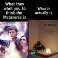 Meta Reality