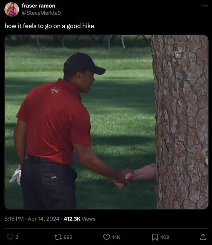 Tiger Woods shaking hands with a tree - meme