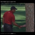 Tiger Woods shaking hands with a tree