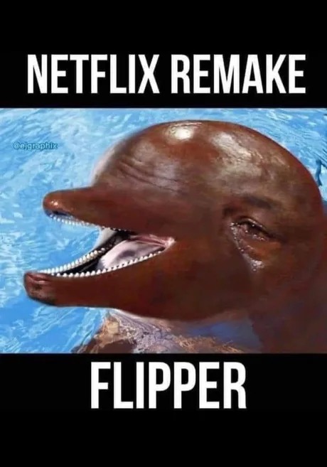 Flipper Netflix adaptation - meme