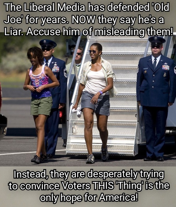 MSM Credibility On Display - meme