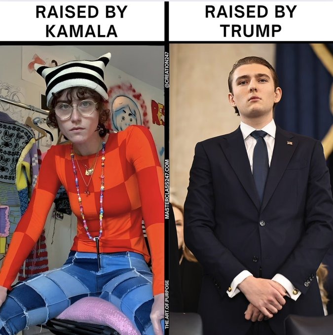 spot the difference - meme