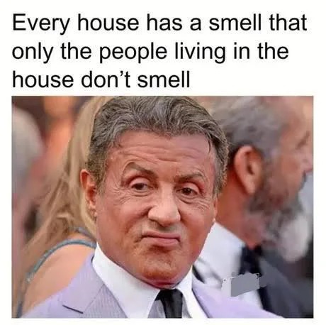 Every house has a smell - meme