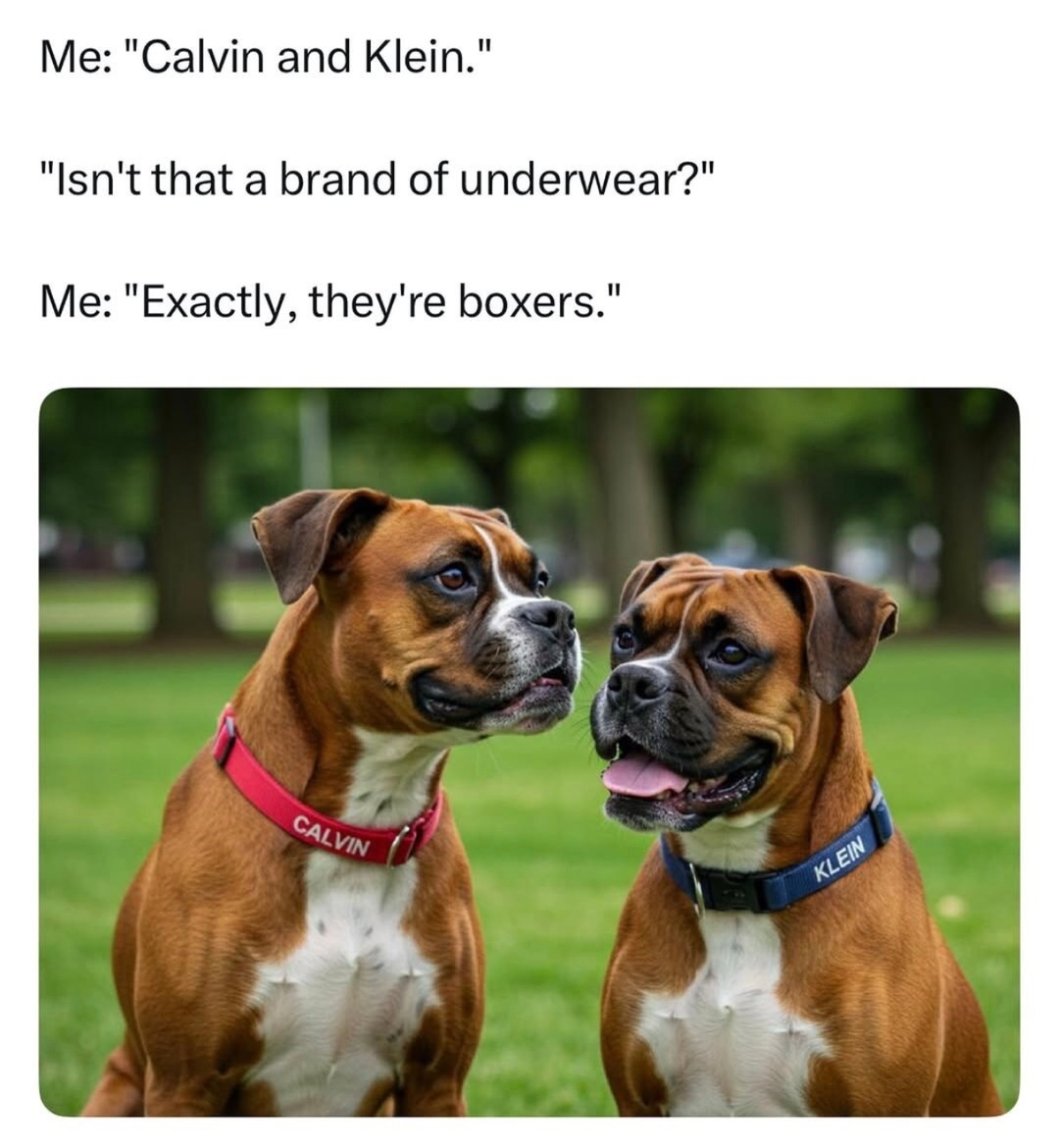 Calvin and Klein? Oh, you mean boxers - meme