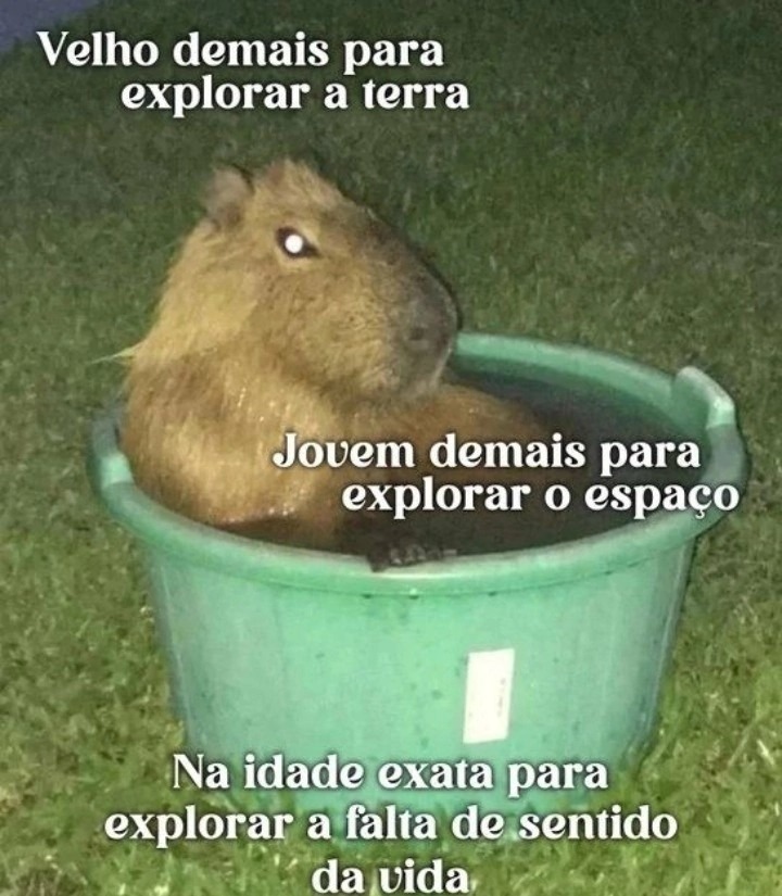 La Capivara - Passando só pra lembrar… #capivara #capivaras #memes