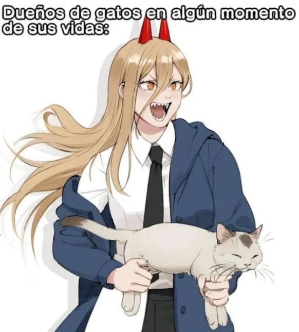 la verdad yo hubiera usado otra plantilla pero acaso me van a decir que no es cierto? - meme