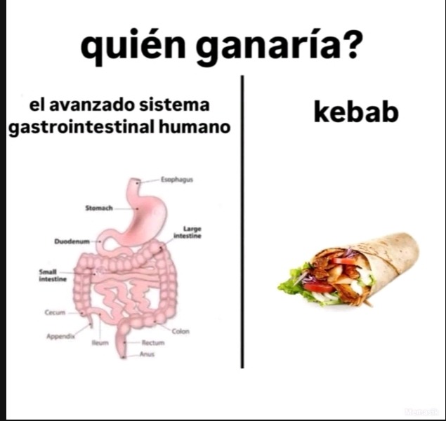 comenten quien ganaría - meme