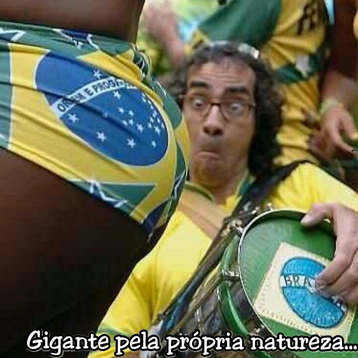 Meu Brasil brasileiro - meme