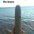 My brother found this dildo shaped rock