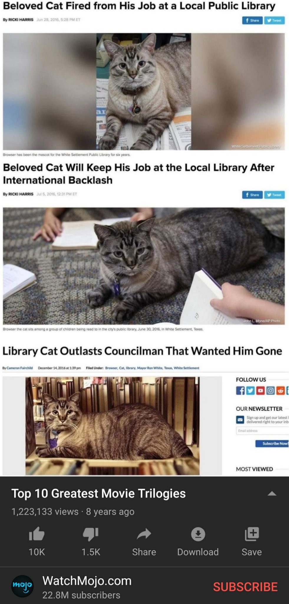 Beloved Cat Trilogy - meme