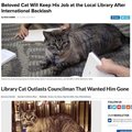 Beloved Cat Trilogy