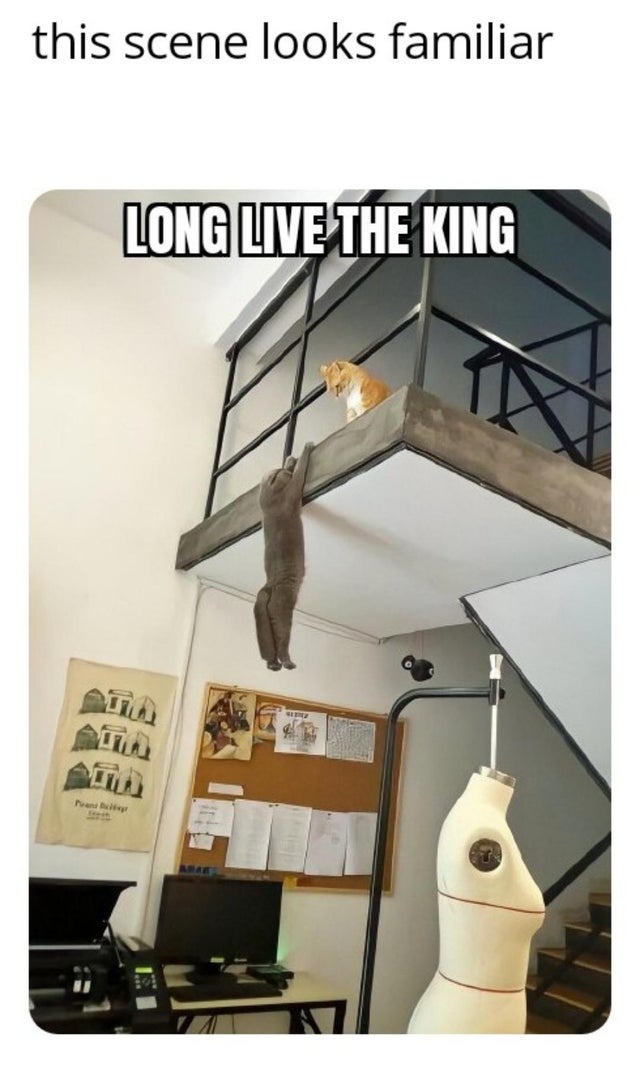 Long live the king - meme