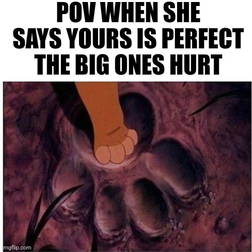 Yours is perfect, big ones hurt - meme