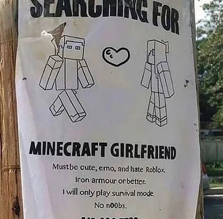 Searching for Minecraft girlfriend - meme
