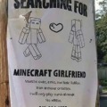 Searching for Minecraft girlfriend
