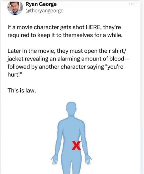 Movie laws - meme