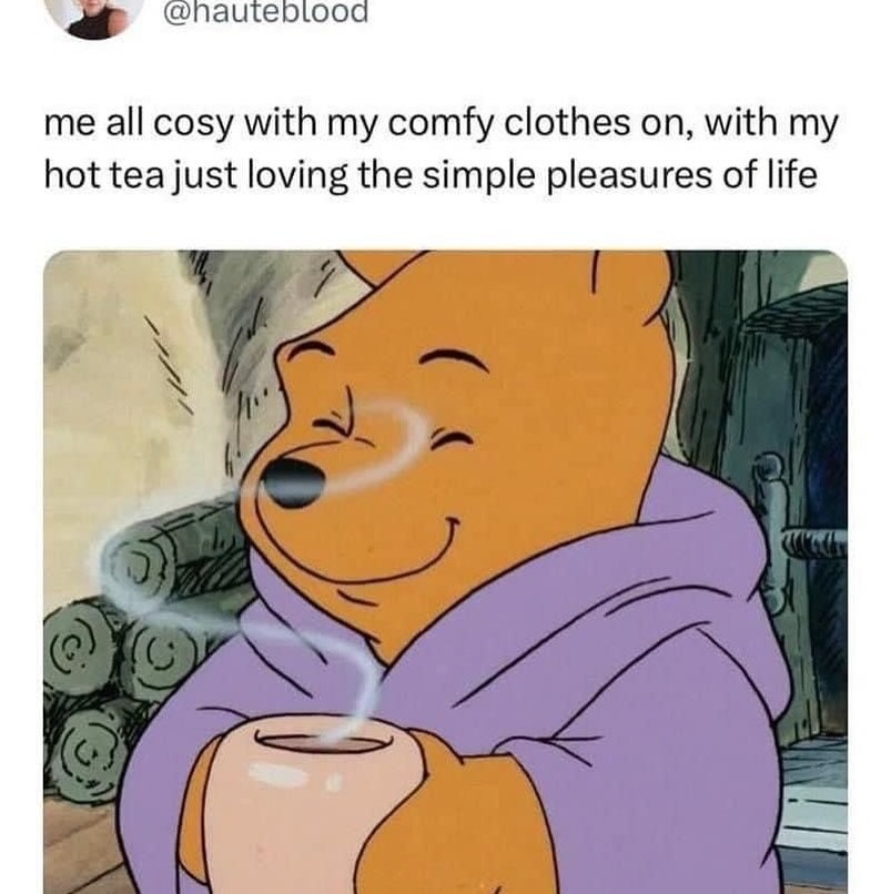 Pooh is my sprit animal - meme