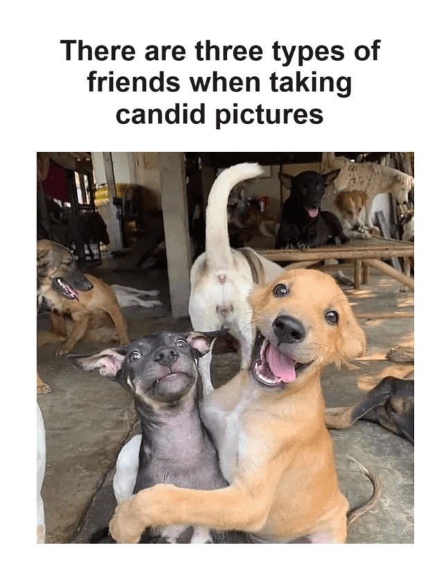 I see seven types of friends - meme