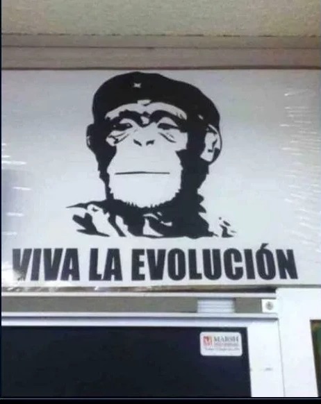 Para los que no saben ese es Che Guevara - meme