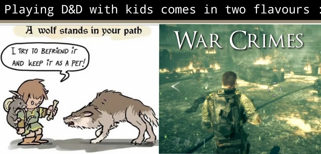 Playing D&D with kids: two types of players - meme