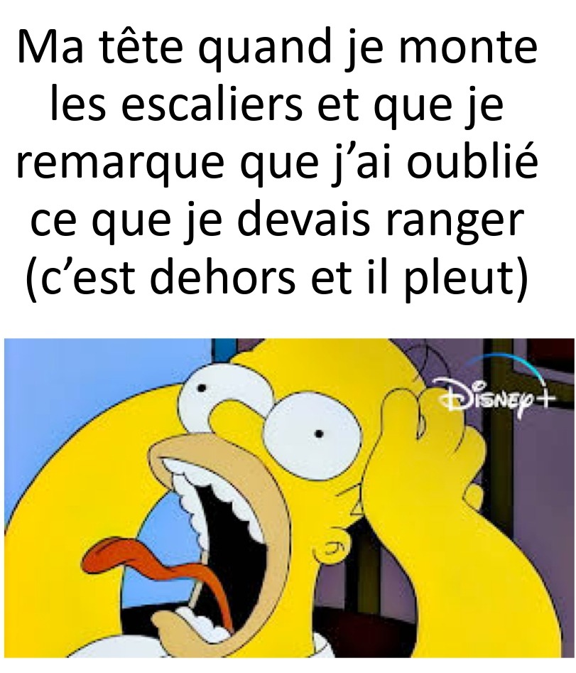mon premier meme