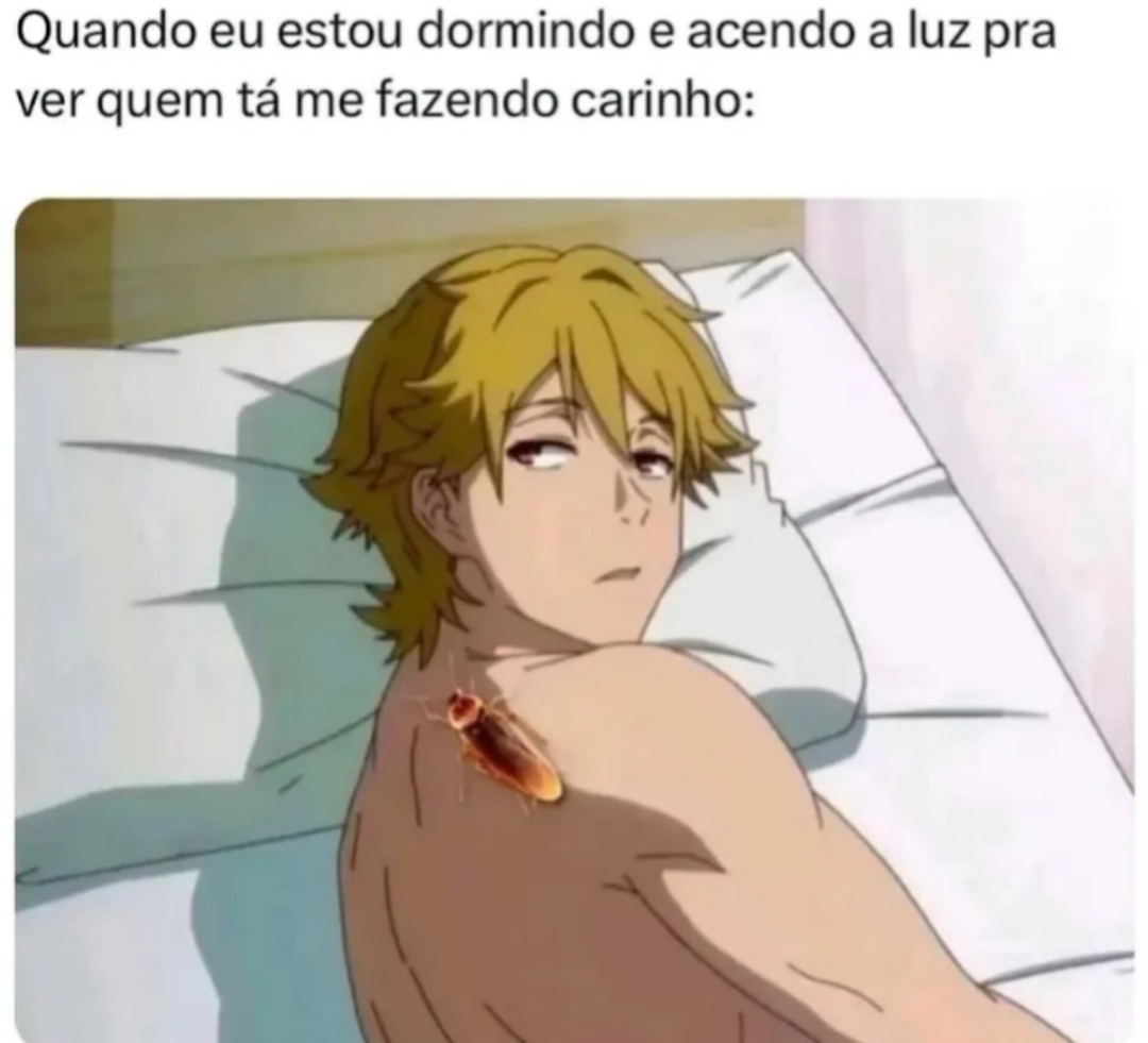 Barata - meme