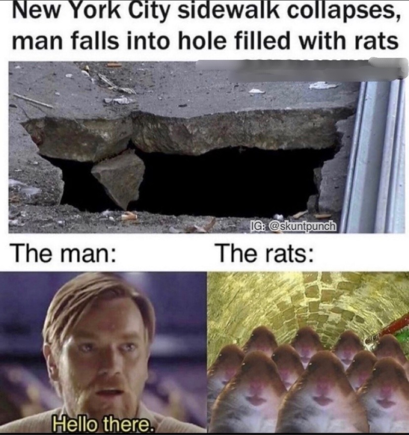 Rat mob - meme