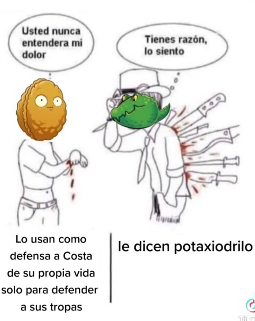 Potaxio drilo - meme