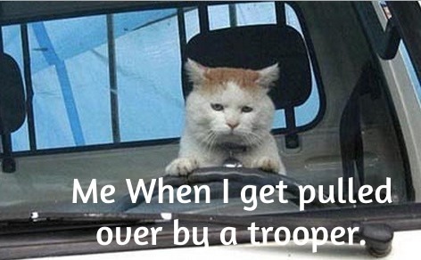 Being Pulled Over - meme