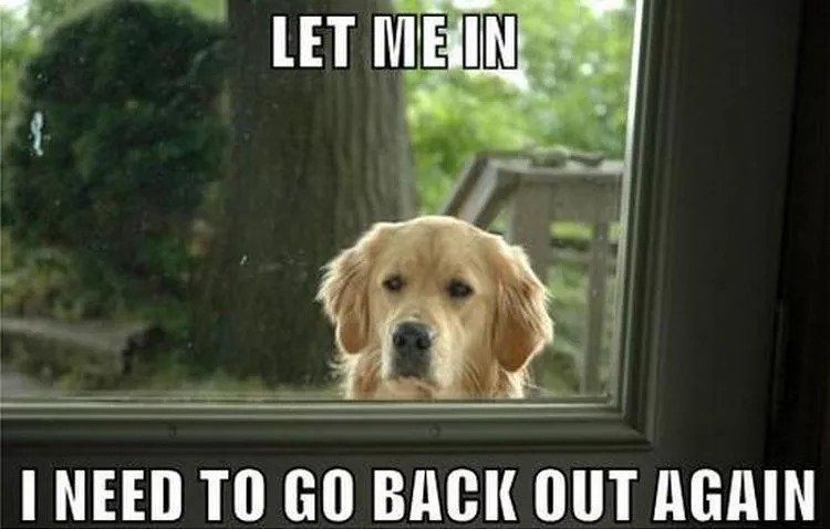 Let me in! - meme