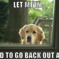 Let me in!
