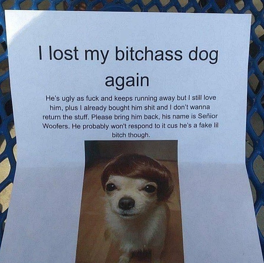 Bitchass dog - meme
