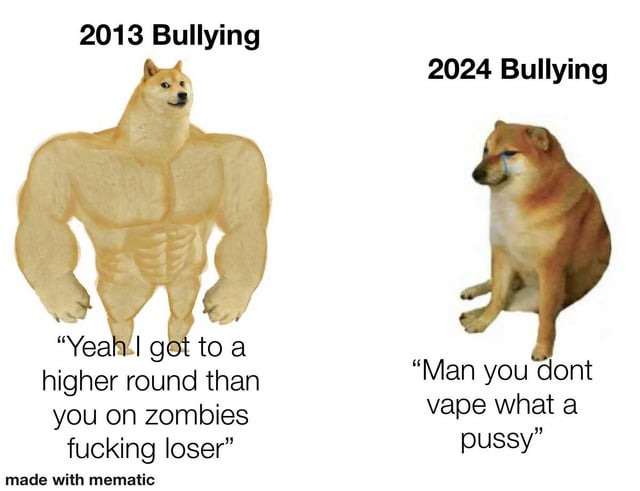 2024 bullying - meme