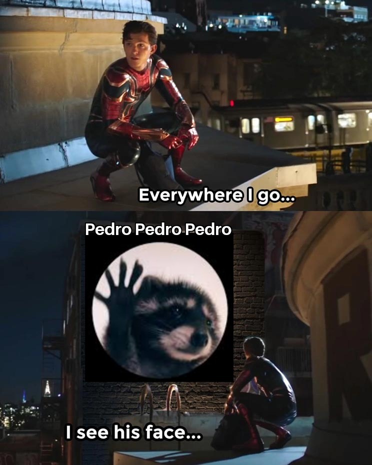 Pedro Pedro Pedro  - meme