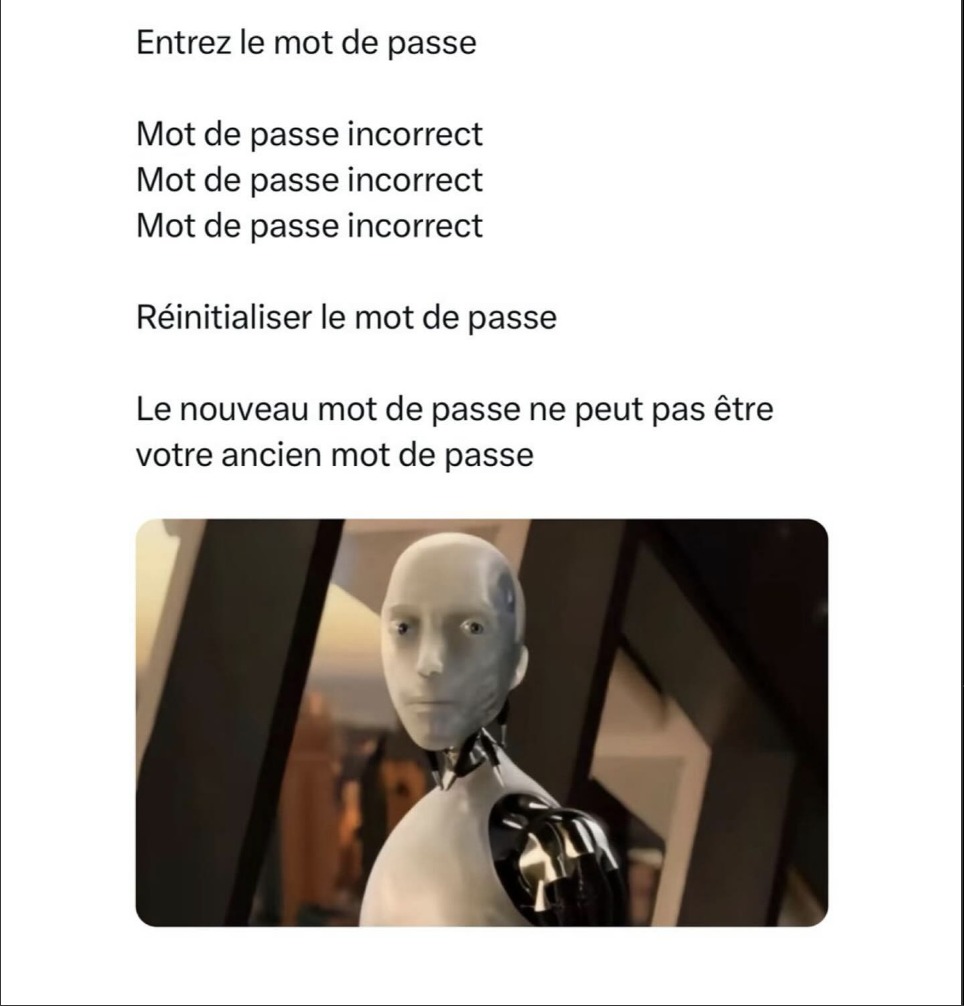 C’est toute ma vie ça - meme