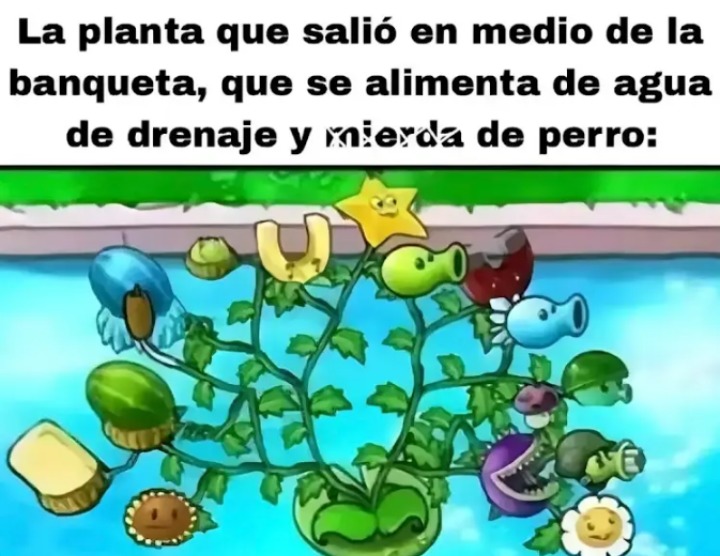 When:censuras mierda and queda como el logo de evangelion - meme