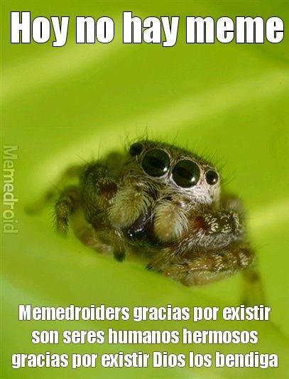 Fiesta dd negativos en los comentarios - meme