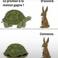 Turtle's speed