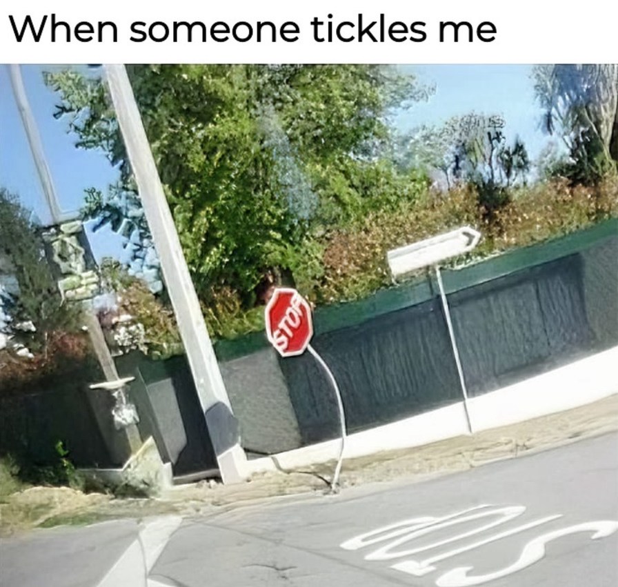 t - meme