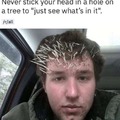 commented item thumbnail