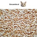 commented item thumbnail