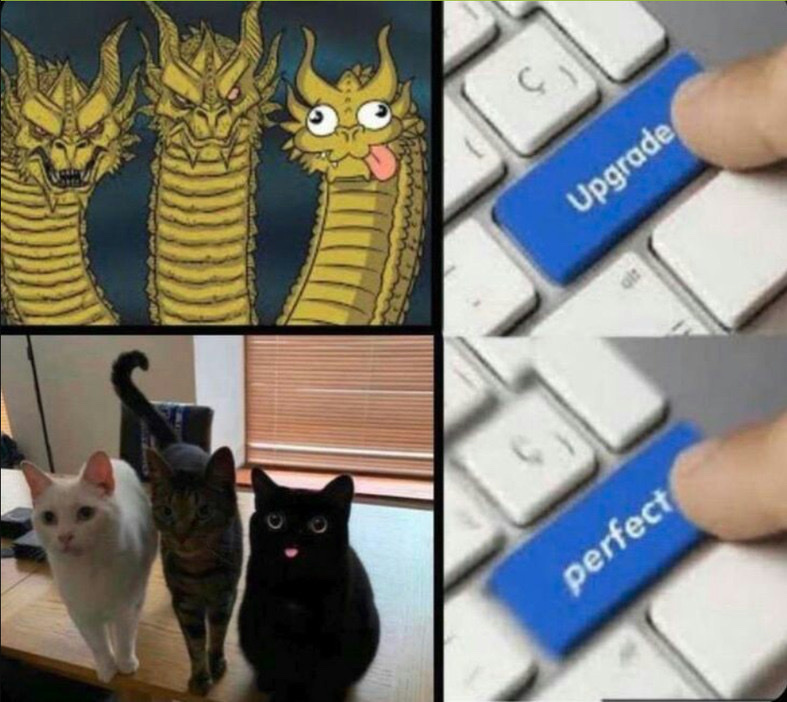 Gatos miau - meme