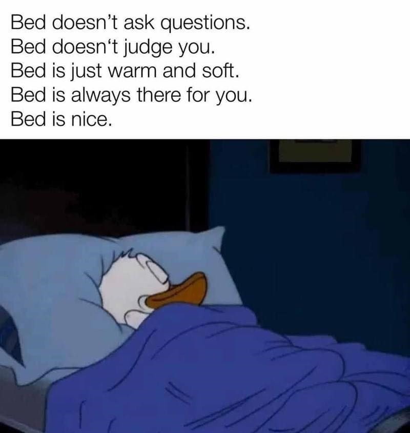 nice bed - meme